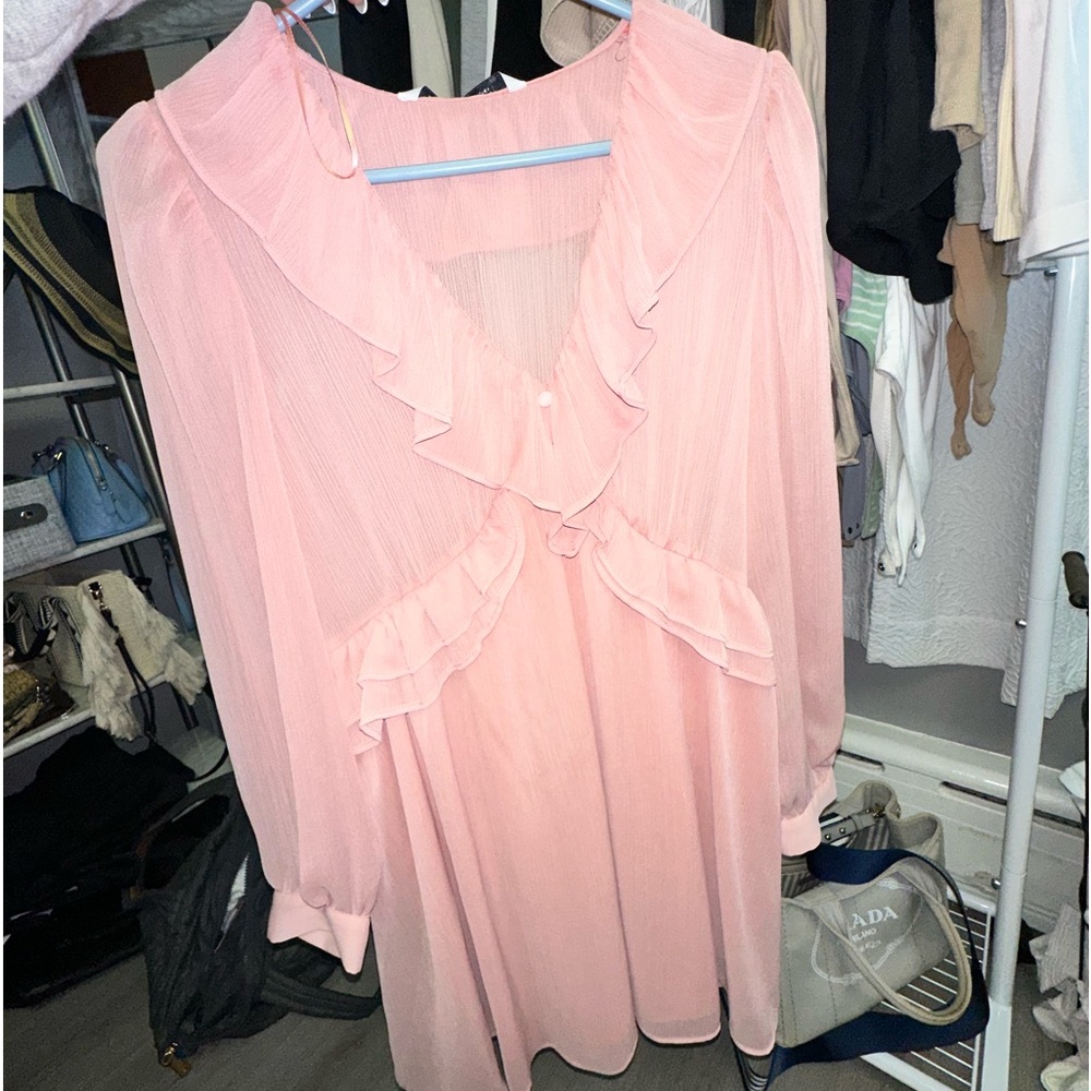 NWT - Blush Pink Zara Dress